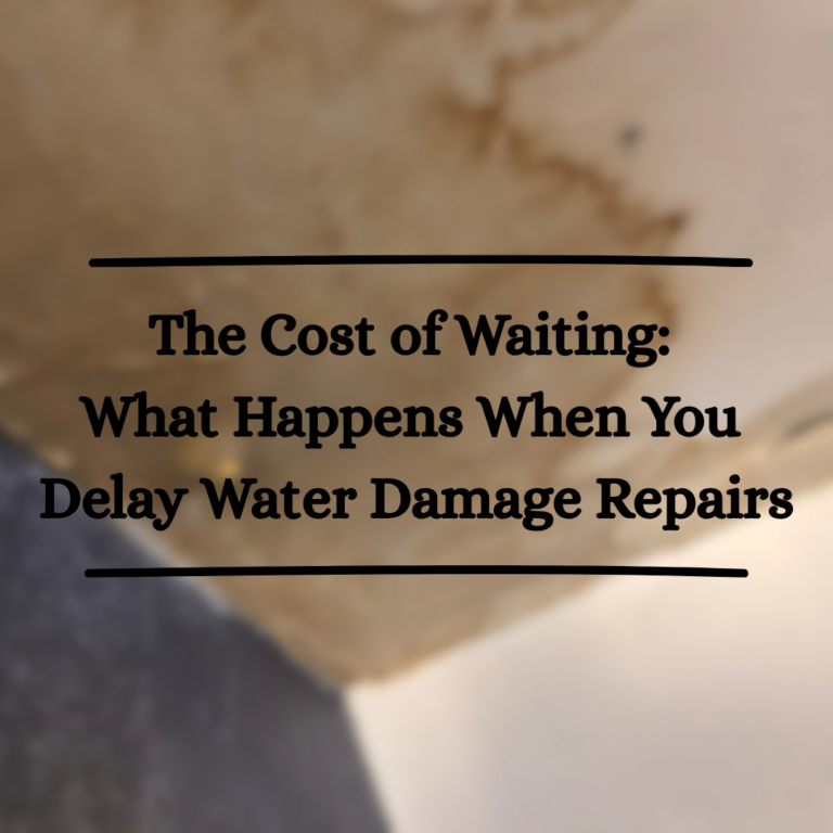 The Cost of Waiting: What Happens When You Delay Water Damage Repairs